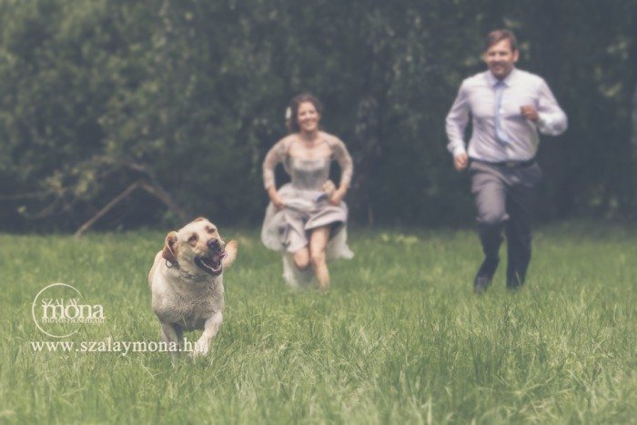 kutyafotózás-esküvő-20801